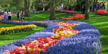 The Netherlands Nixes ‘Holland’ as a Nickname