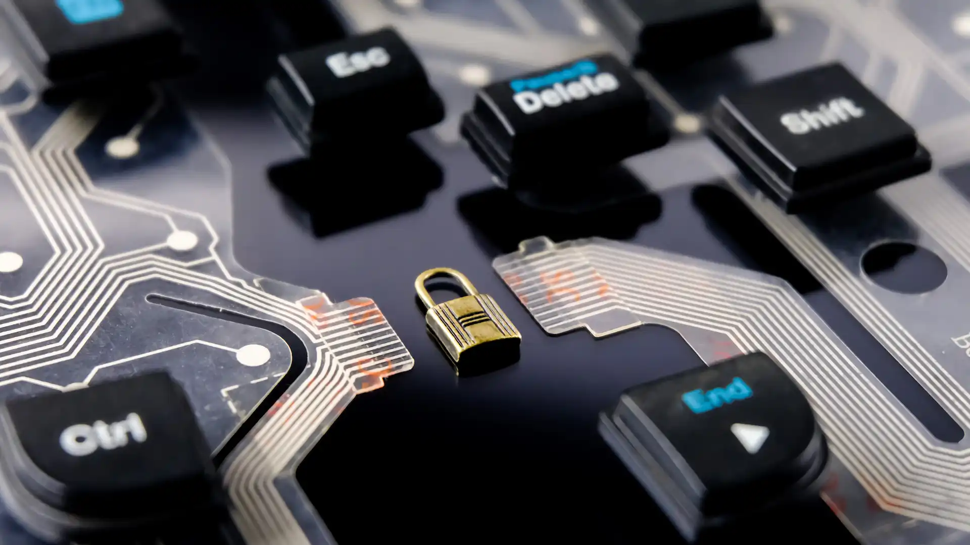 computer security concept on a circuit board