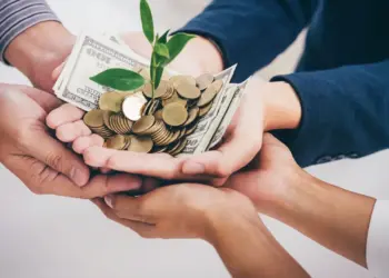 hands of business team holding plant sprouting