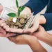 hands of business team holding plant sprouting