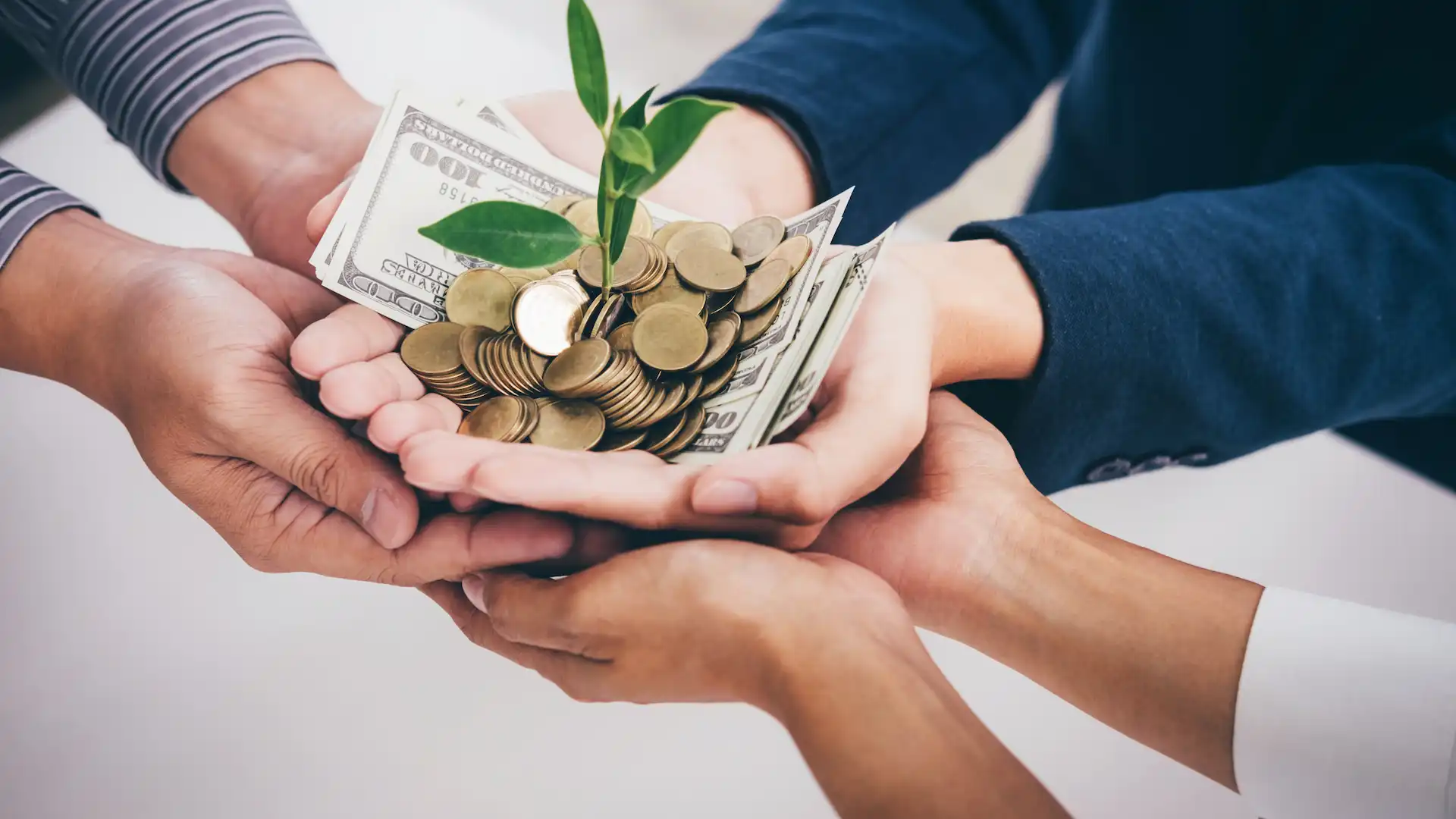 hands of business team holding plant sprouting