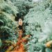 Hidden and Secluded Beach in Bali with Breathtaking Views