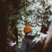 10 Summer Safety Tips For Water Sports Adventurers