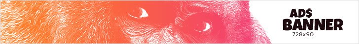 Advertisement Banner