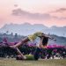 Yoga Exercises for The Eyes: How to Improve Eyesight Naturally