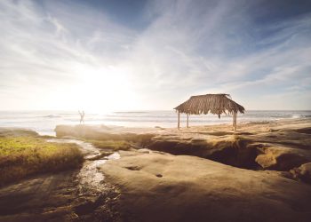 Amazing Yoga Retreats with Rice Field View in Ubud You Should Visit